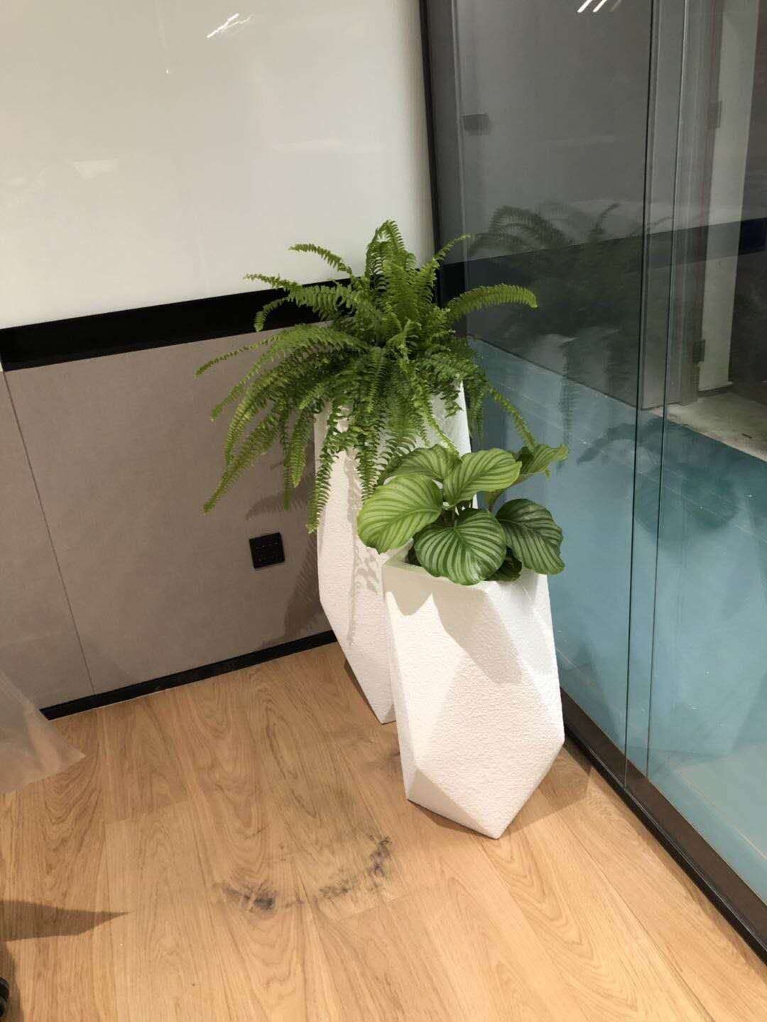 組合植物