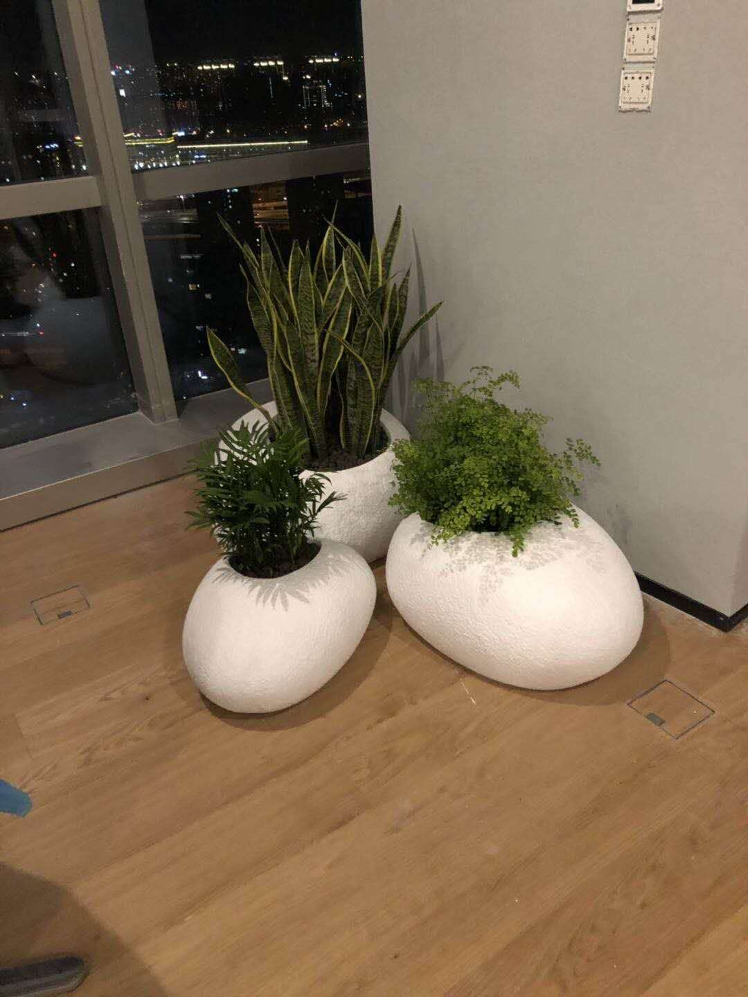 組合植物